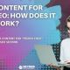Content For Seo: How Does It Work?  BBNDRY Website Design Agency